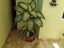 Pousada Executiva Solriso