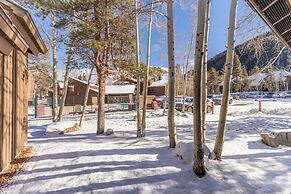 Wild Irishman #1093 by Summit County Mountain Retreats