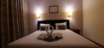 Room-beautiful Deluxe Double Room in the