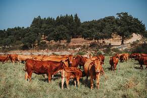 Herdade dos Cordeiros