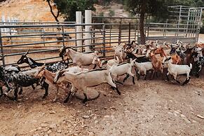 Herdade dos Cordeiros