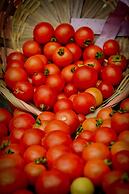 Connect Thermal Hotel