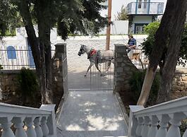 The Elegant Summer House