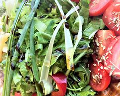 Rustic Hill Private Pool Suites