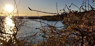 Albufeira Beach Cliffs House