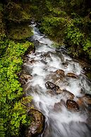 Puitalm - Natur I Apart I Hotel