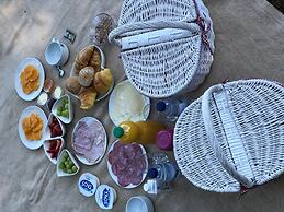 Quinta dos Lobos Boutique Hotel - Nature Experience