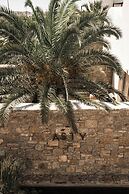 Asty Mykonos Hotel & Spa -World of One Hotel Group