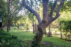 Dawn Ranch