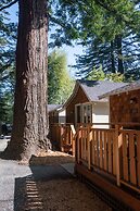 Dawn Ranch