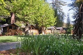 Dawn Ranch