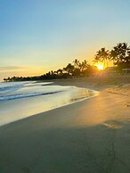 Xeliter Green One Playa Dorada