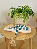 Xeliter Green One Playa Dorada