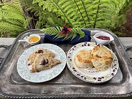 Rendezvous Mendocino