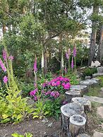 Rendezvous Mendocino