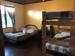 In The Wind Hostel And Guesthouse