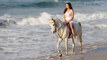 Lighthouse Point Residences