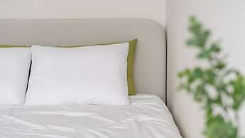 Chuncheon Dogandstay