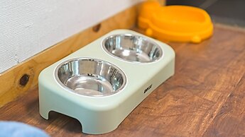 Chuncheon Dogandstay