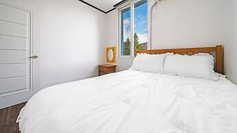 Chuncheon Dogandstay