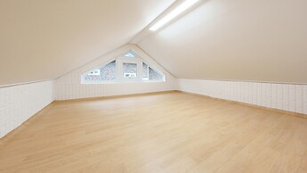 Chuncheon Dogandstay