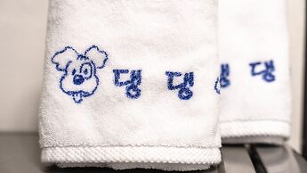 Chuncheon Dogandstay