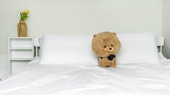 Chuncheon Dogandstay