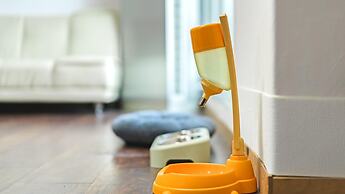 Chuncheon Dogandstay