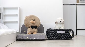 Chuncheon Dogandstay