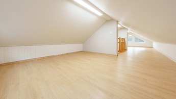 Chuncheon Dogandstay