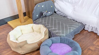 Chuncheon Dogandstay