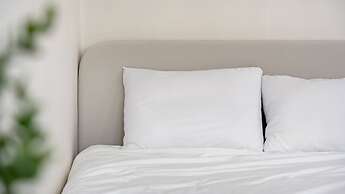 Chuncheon Dogandstay