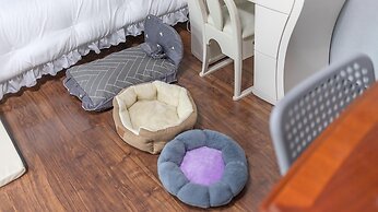 Chuncheon Dogandstay