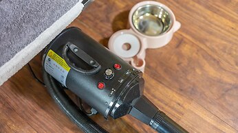 Chuncheon Dogandstay