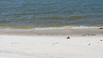 Tramarlis - Bright And Airy Bayfront Home. Enjoy Unobstructed Views An