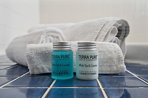 Marisol - Pet Friendly And Gulf Front! Enjoy The Large Deck With Amazi