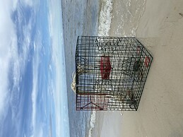 The Blue Crab - Bayfront! Private Pool - Steps To The Beach - Kayaks A