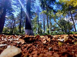 Hacienda Venta de Guadalupe