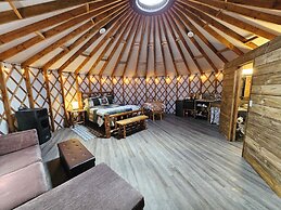 Wrangell Mountains Wilderness Lodge