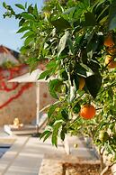 Villa Agape Dubrovnik