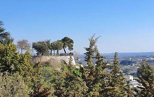 Beautiful Garden Apartment in Cisternino