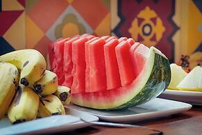 Velinn Pousada Iguana Azul