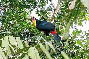 Velinn Pousada Catamarã Brasil