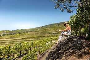 Casal dos Capelinhos - Quinta Nova