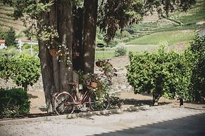 Casal dos Capelinhos - Quinta Nova