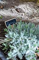 La Maison de Famille by MaisonMars