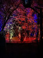 Hotel La Casa de los Árboles