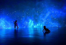 Hotel La Casa de los Árboles