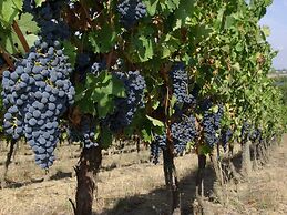 Fattoria Santa Vittoria Apartment 