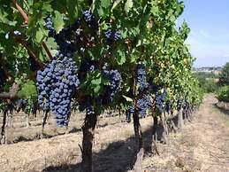 Fattoria Santa Vittoria Apartment 